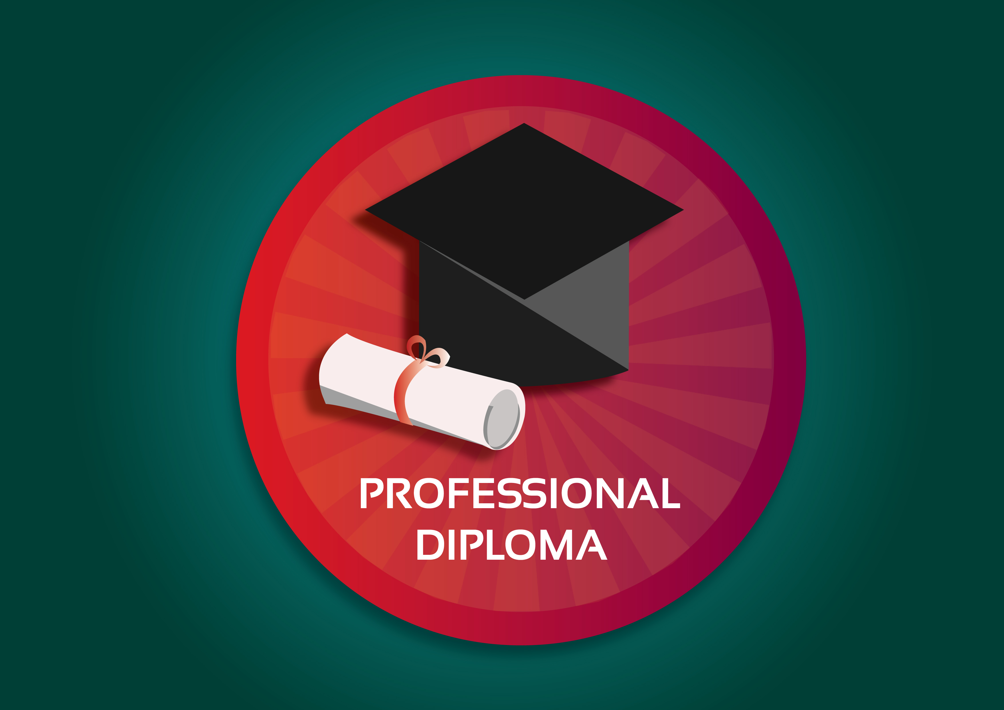 Professional Diploma